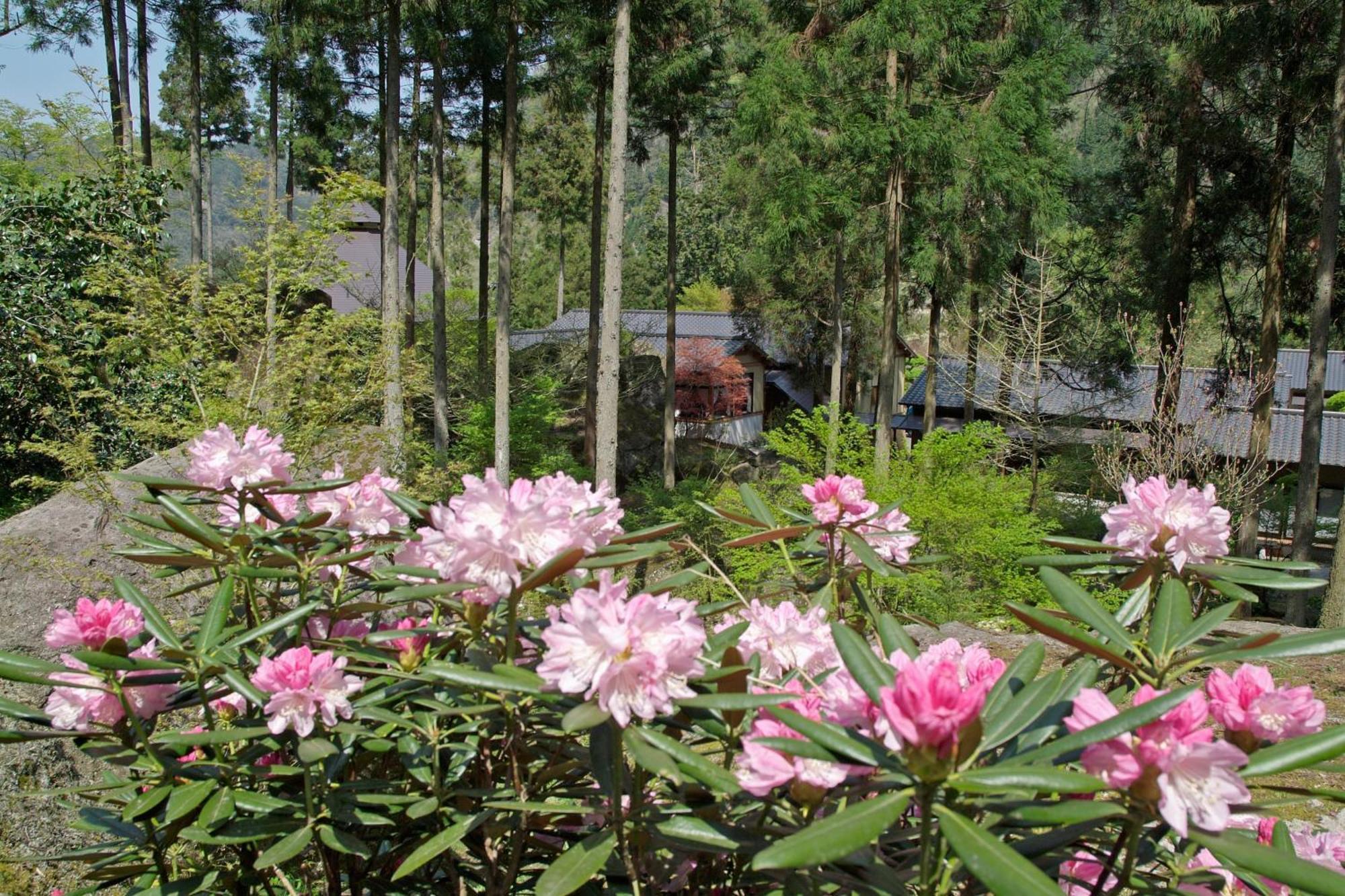Nakatsu Auberge Funoki מראה חיצוני תמונה